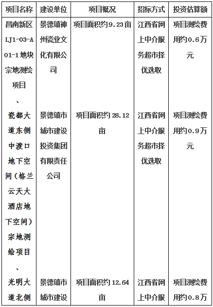 景德鎮(zhèn)市昌南新區(qū)LJ1-03-A01-1地塊、瓷都大道東側(cè)中渡口地下空間（格蘭云天大酒店地下空間）、光明大道北側(cè)利民路西側(cè)地下空間（青少年宮地下空間）、規(guī)劃二路北側(cè)地下空間地塊二（加速基地地下空間）、規(guī)劃二路北側(cè)地下空間地塊一（加速基地地下空間）、景德大道南側(cè)天寶橋西側(cè)地塊、景興大道東側(cè)如意路北側(cè)地下空間(社會公共服務(wù)