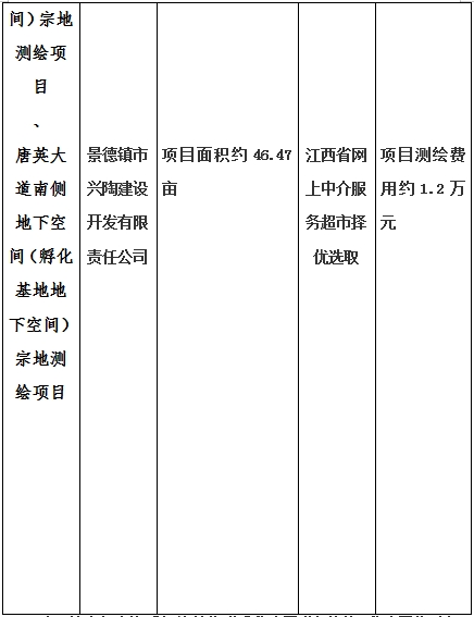 景德鎮(zhèn)市昌南新區(qū)LJ1-03-A01-1地塊、瓷都大道東側(cè)中渡口地下空間（格蘭云天大酒店地下空間）、光明大道北側(cè)利民路西側(cè)地下空間（青少年宮地下空間）、規(guī)劃二路北側(cè)地下空間地塊二（加速基地地下空間）、規(guī)劃二路北側(cè)地下空間地塊一（加速基地地下空間）、景德大道南側(cè)天寶橋西側(cè)地塊、景興大道東側(cè)如意路北側(cè)地下空間(社會公共服務(wù)
